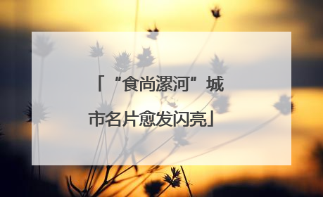 “食尚漯河”城市名片愈发闪亮