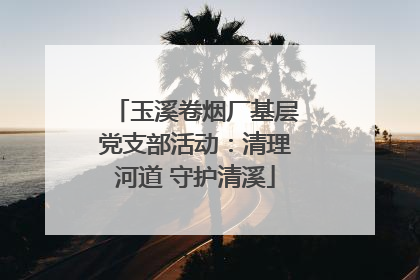 玉溪卷烟厂基层党支部活动：清理河道 守护清溪