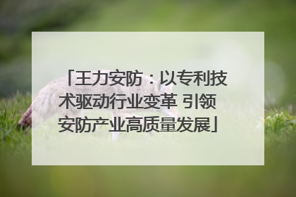 王力安防：以专利技术驱动行业变革 引领安防产业高质量发展