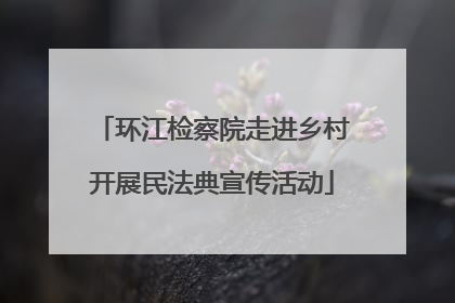 环江检察院走进乡村开展民法典宣传活动