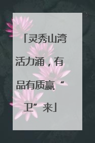 灵秀山湾活力涌,有品有质赢“卫”来