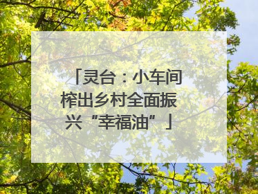 灵台：小车间榨出乡村全面振兴“幸福油”