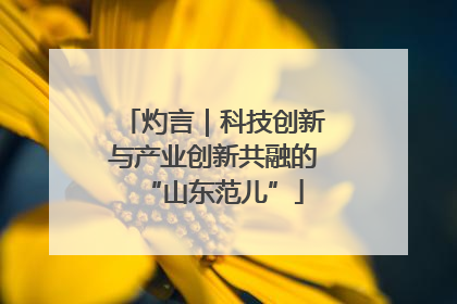 灼言｜科技创新与产业创新共融的“山东范儿”
