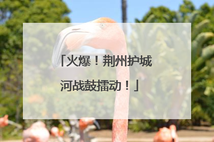 火爆！荆州护城河战鼓擂动！