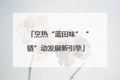 烹热“蓝田味”“链”动发展新引擎