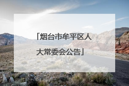烟台市牟平区人大常委会公告
