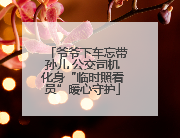 爷爷下车忘带孙儿 公交司机化身“临时照看员”暖心守护