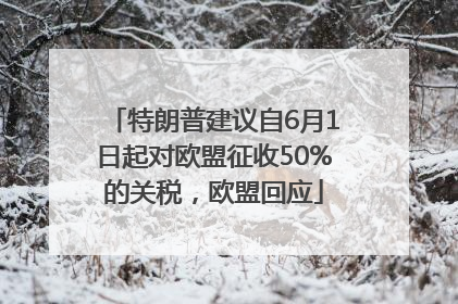 特朗普建议自6月1日起对欧盟征收50%的关税，欧盟回应