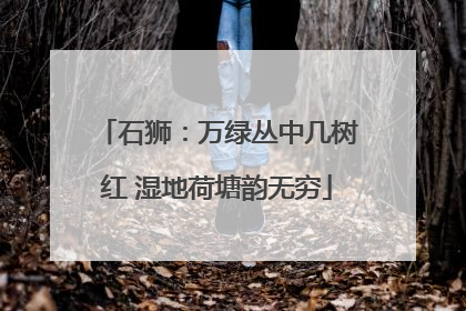 石狮：万绿丛中几树红 湿地荷塘韵无穷