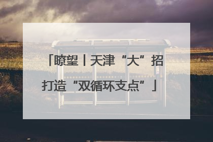 瞭望丨天津“大”招打造“双循环支点”