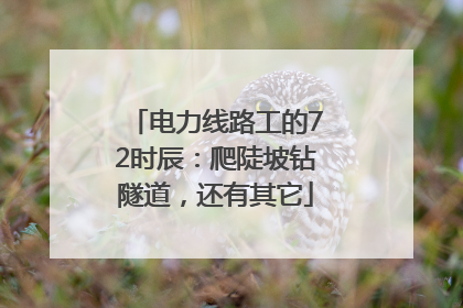 电力线路工的72时辰：爬陡坡钻隧道，还有其它