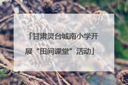 甘肃灵台城南小学开展“田间课堂”活动
