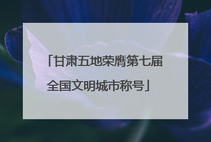 甘肃五地荣膺第七届全国文明城市称号