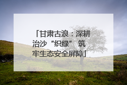 甘肃古浪：深耕治沙“织绿” 筑牢生态安全屏障