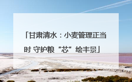 甘肃清水：小麦管理正当时 守护粮“芯”绘丰景