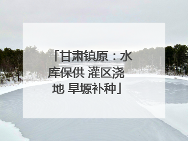 甘肃镇原：水库保供 灌区浇地 旱塬补种