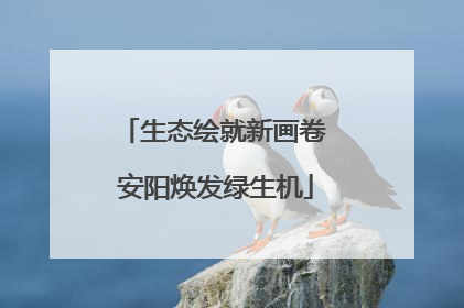 生态绘就新画卷 安阳焕发绿生机