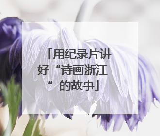 用纪录片讲好“诗画浙江”的故事