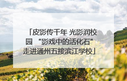 皮影传千年 光影润校园 “影戏中的活化石”走进通州五接滨江学校