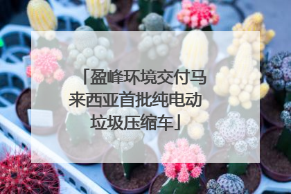 盈峰环境交付马来西亚首批纯电动垃圾压缩车