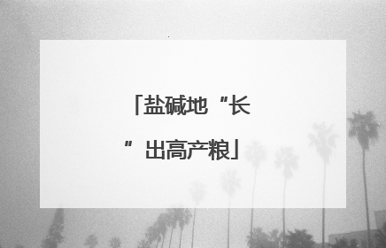 盐碱地“长”出高产粮