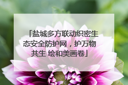 盐城多方联动织密生态安全防护网，护万物共生 绘和美画卷