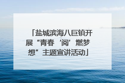 盐城滨海八巨镇开展“青春‘阅’燃梦想”主题宣讲活动