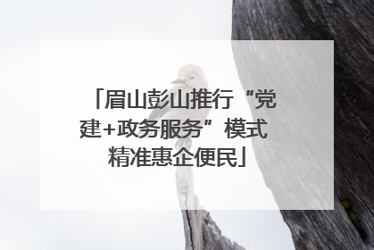 眉山彭山推行“党建+政务服务”模式 精准惠企便民