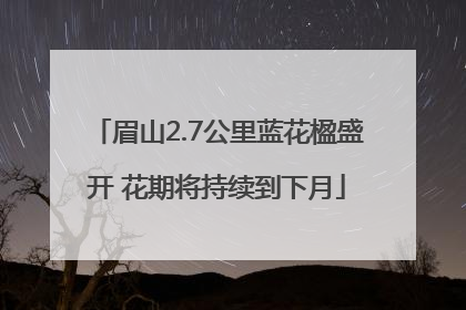 眉山2.7公里蓝花楹盛开 花期将持续到下月