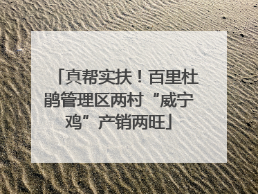 真帮实扶！百里杜鹃管理区两村“威宁鸡”产销两旺