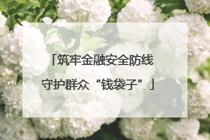 筑牢金融安全防线 守护群众“钱袋子”