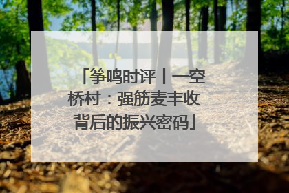筝鸣时评丨一空桥村：强筋麦丰收背后的振兴密码