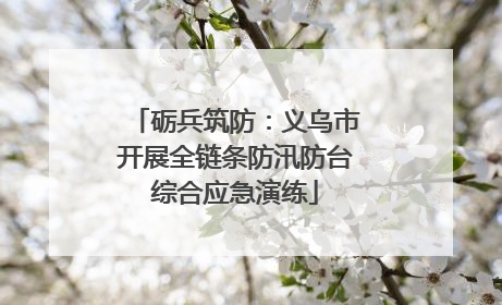 砺兵筑防：义乌市开展全链条防汛防台综合应急演练