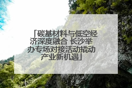 碳基材料与低空经济深度融合 长沙举办专场对接活动撬动产业新机遇