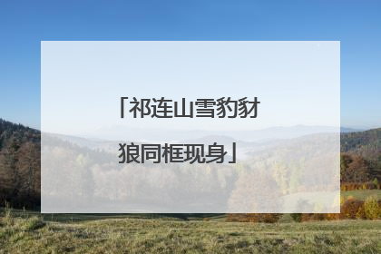 祁连山雪豹豺狼同框现身