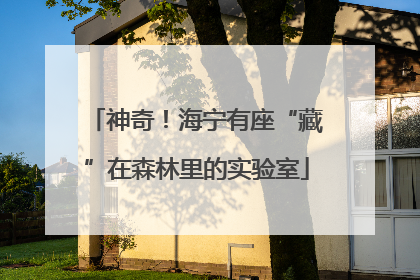 神奇！海宁有座“藏”在森林里的实验室