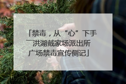 禁毒，从“心”下手――洪湖戴家场派出所广场禁毒宣传侧记