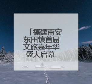 福建南安东田镇首届文旅嘉年华盛大启幕 圩日市集与杨梅采摘点燃乡村振兴新动能