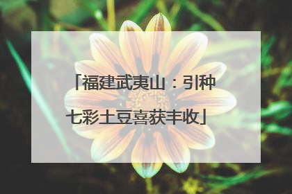 福建武夷山：引种七彩土豆喜获丰收