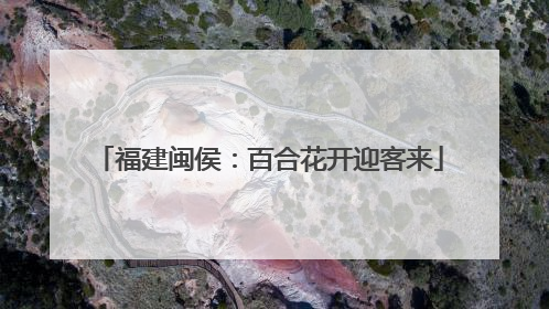 福建闽侯：百合花开迎客来