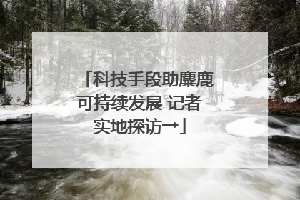 科技手段助麋鹿可持续发展 记者实地探访→