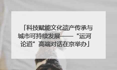 科技赋能文化遗产传承与城市可持续发展——“运河论道”高端对话在京举办