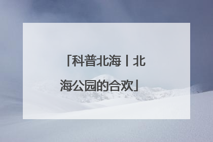 科普北海丨北海公园的合欢