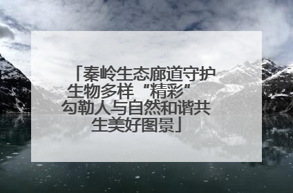 秦岭生态廊道守护生物多样“精彩” 勾勒人与自然和谐共生美好图景