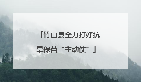 竹山县全力打好抗旱保苗“主动仗”