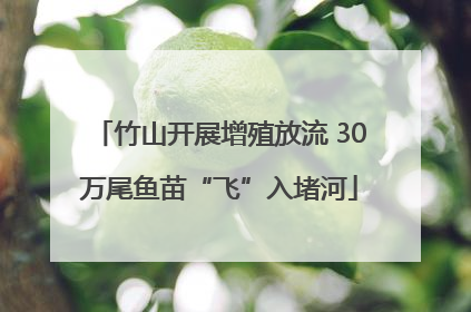 竹山开展增殖放流 30万尾鱼苗“飞”入堵河