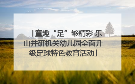 童趣“足”够精彩 乐山井研机关幼儿园全面升级足球特色教育活动