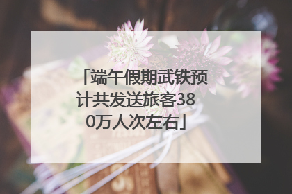 端午假期武铁预计共发送旅客380万人次左右