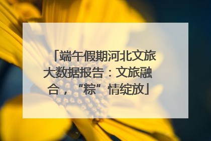 端午假期河北文旅大数据报告：文旅融合，“粽”情绽放