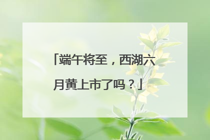 端午将至，西湖六月黄上市了吗？